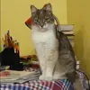 Отзыв от Анжелика Терентьева